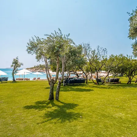 Kaplankaya Vila *